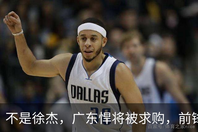 不是徐杰，广东悍将被求购，前锋，杜锋看重，转会费或8位数